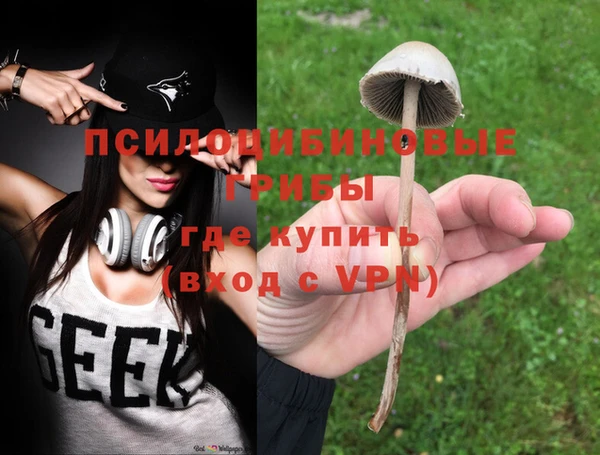 прущая мука Гусиноозёрск