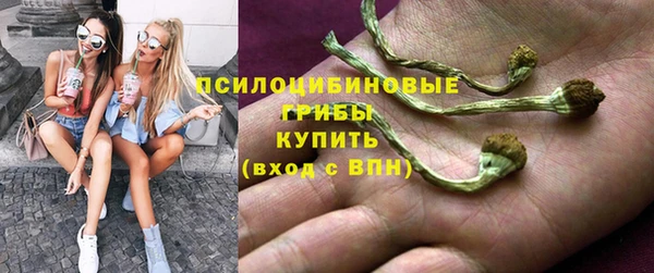 МДПВ Архангельск