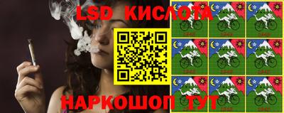 крисы Гагарин