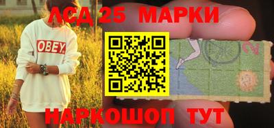 метадон Гай