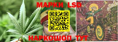 крисы Гагарин