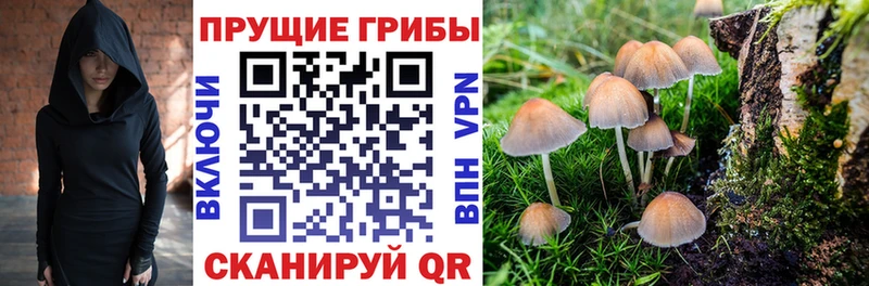 Псилоцибиновые грибы MAGIC MUSHROOMS цены блэк спрут ссылка Балашов