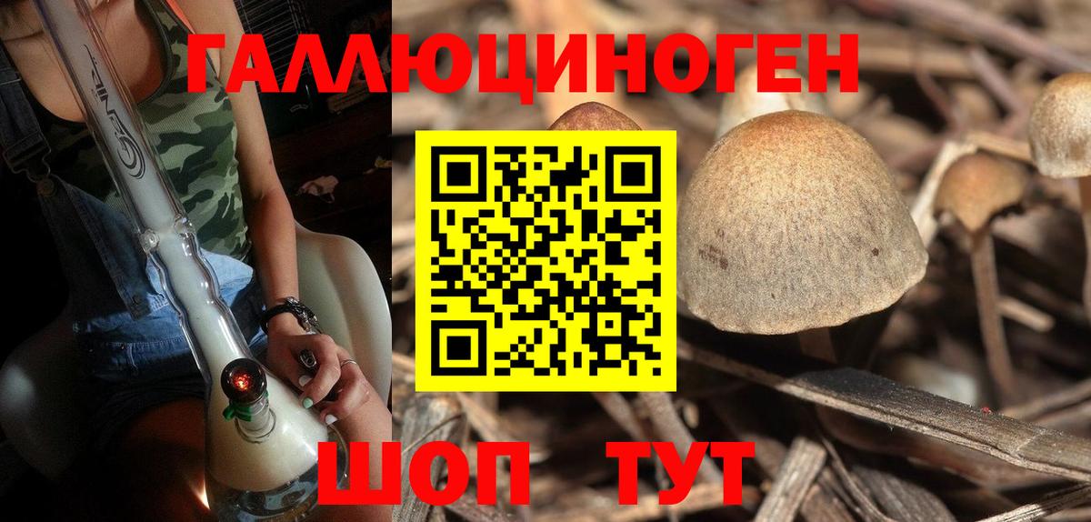 Псилоцибиновые грибы ЛСД Балашов
