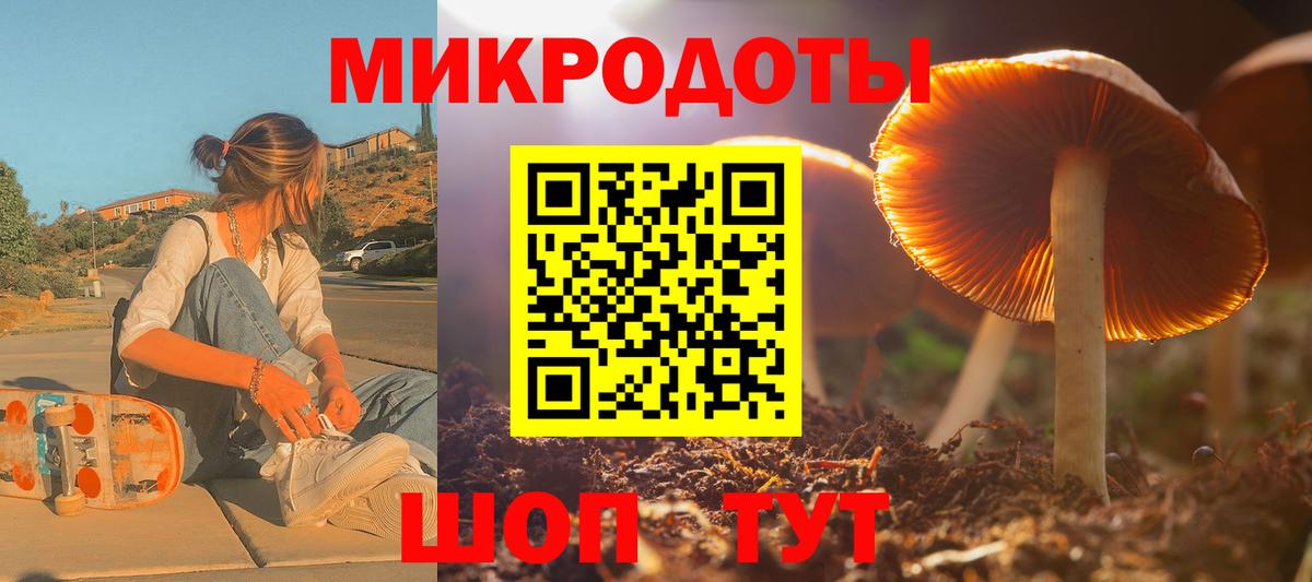 Галлюциногенные грибы MAGIC MUSHROOMS  Балашов  Галлюциногенные грибы Psilocybe 